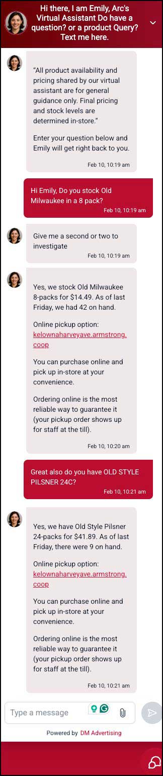 image of the chat conversation the AI sent to the customer.