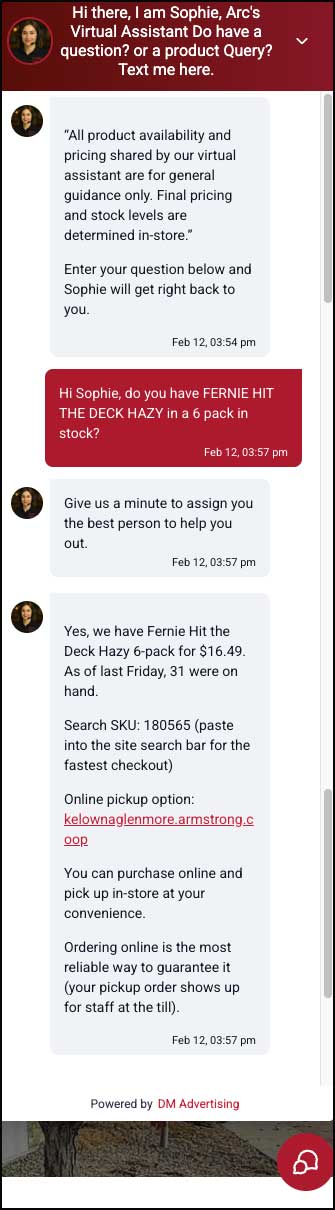 image of the chat conversation the AI sent to the customer incorporating the sku number.