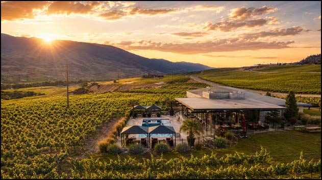 Black Hills Estate vineyards on the sun-drenched Black Sage Bench near Oliver