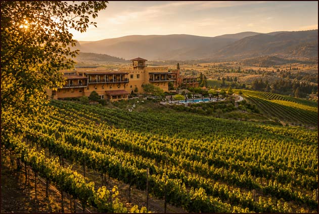 Vineyards associated with Burrowing Owl Estate Winery in the southern Okanagan