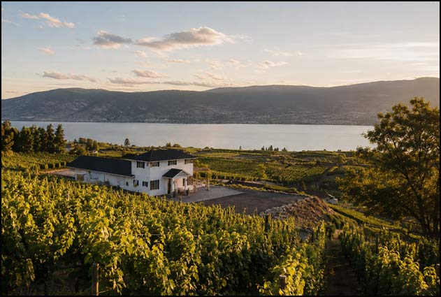 Organically farmed vines and natural landscape at Lunessence Winery in Summerland